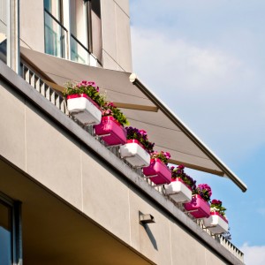 spring cleaning your awning flowers